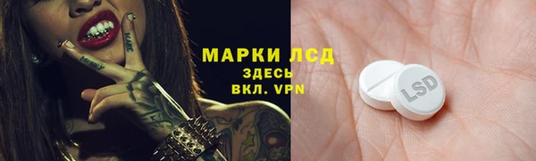 соль ск Алексин