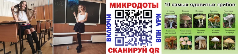 магазин    Любим  Псилоцибиновые грибы ЛСД 